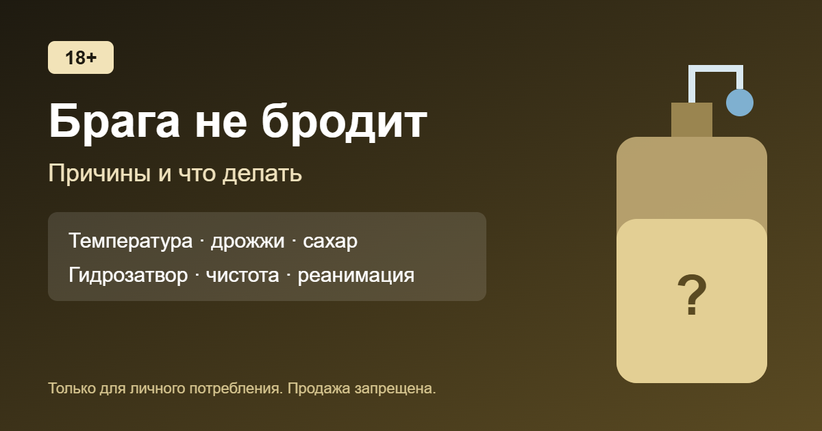 Брага не бродит: причины и что делать