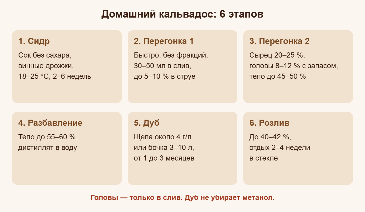 Шесть этапов домашнего кальвадоса от сидра до розлива