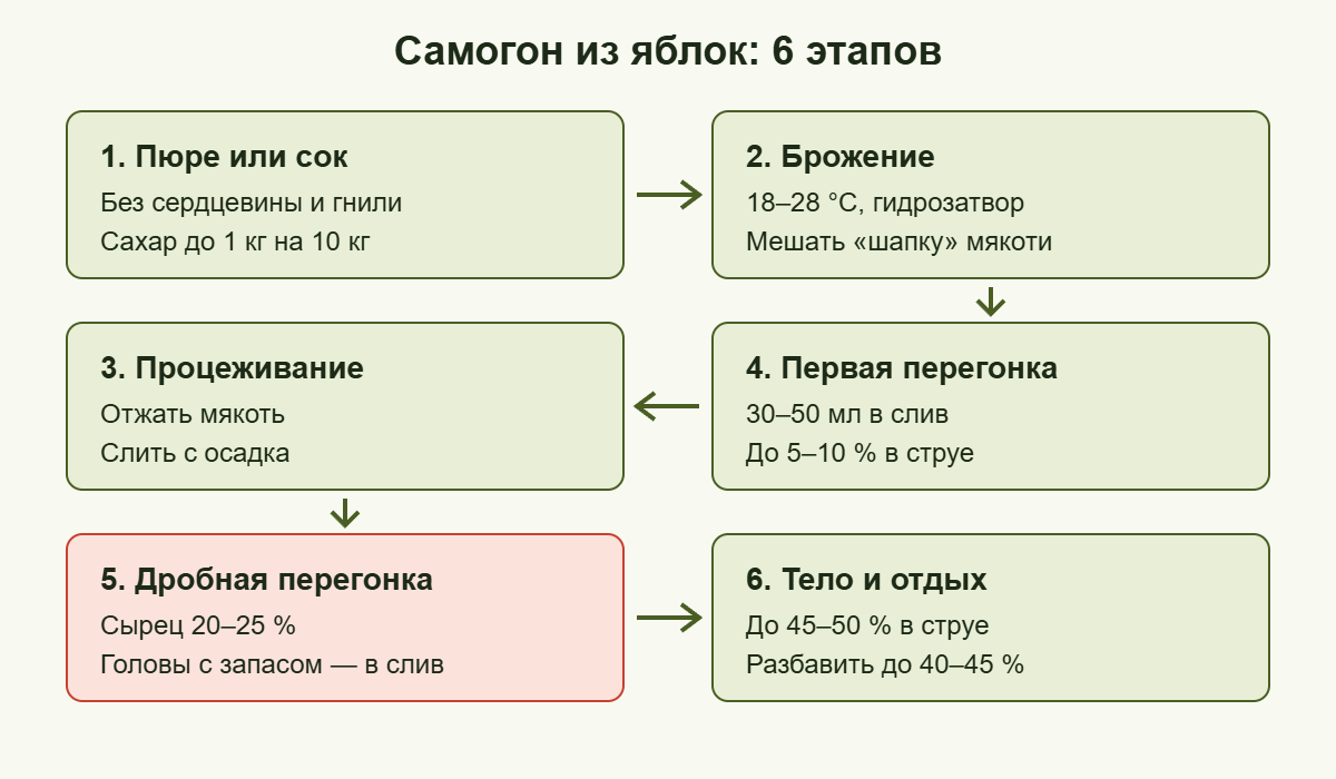 Самогон из яблок: этапы от пюре до разбавления тела