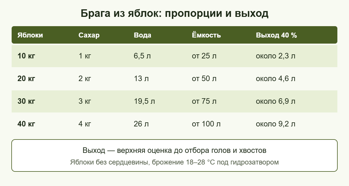 Пропорции браги из яблок на 10, 20, 30 и 40 кг и ориентир выхода самогона